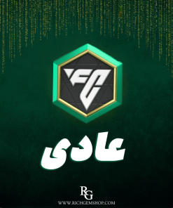 پوینت عادی